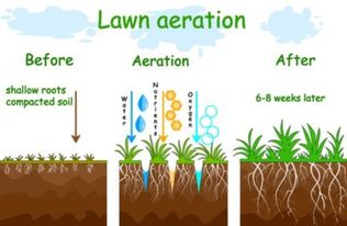 Lawn aeration service for compacted soil in Fayetteville NC