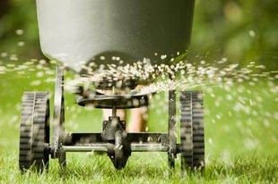 Lawn fertilizing for greener grass near Fayetteville NC