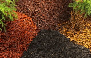 Fresh mulching and landscape bed cleanup in Fayetteville