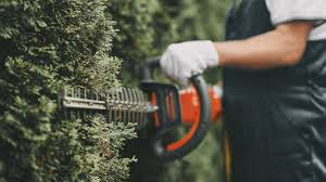 Property grounds maintenance for homes and businesses in Fayetteville NC